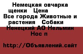 Немецкая овчарка щенки › Цена ­ 20 000 - Все города Животные и растения » Собаки   . Ненецкий АО,Нельмин Нос п.